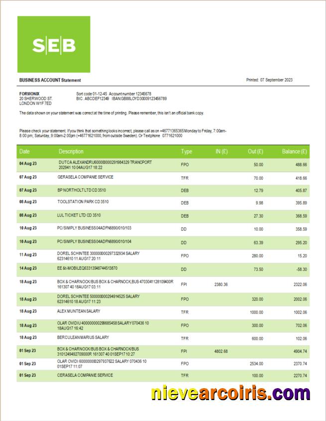 SEB Bank company statement